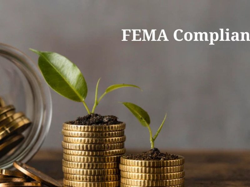 Guidelines and Features Under FEMA Compliance